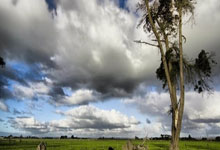 [冰雪]世界男子冰壶锦标赛循环赛：中国VS德国.