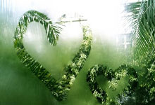 江南体育官网：[德甲]斯图加特“双杀”汉堡 成功保级.